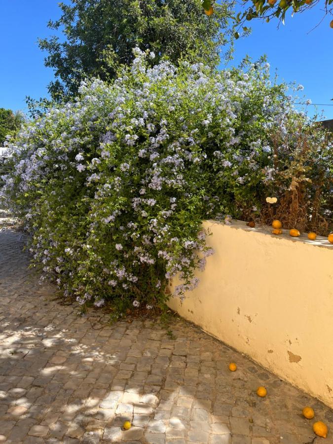 Villa Quinta Da Layla Olhão Esterno foto