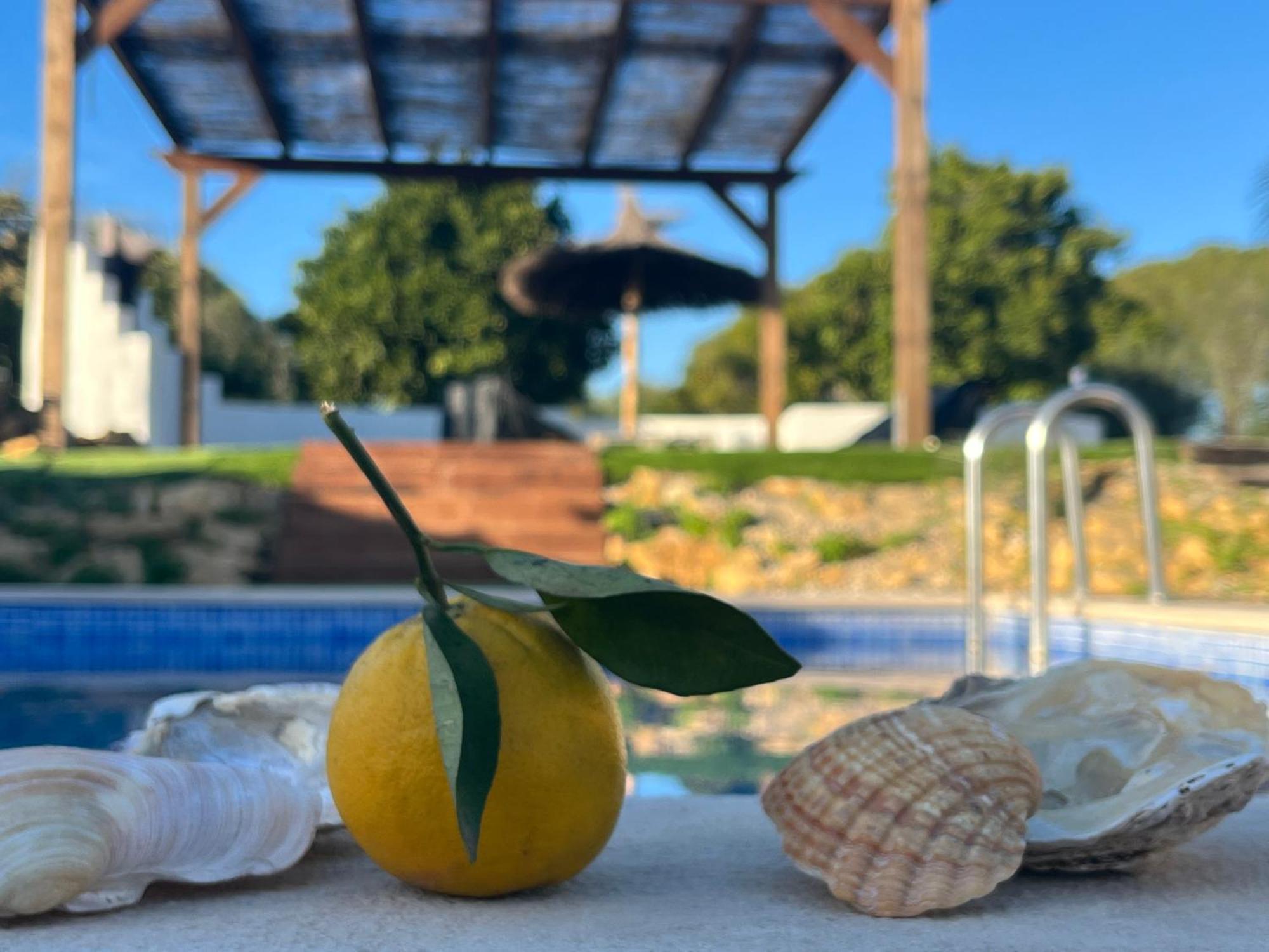Villa Quinta Da Layla Olhão Esterno foto